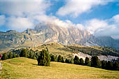 Trekking nel Parco Naturale Puez-Odle. Dall'Alpe Col Raiser (2100 m) alla Val di Funes. Le Odle viste da Col Raiser 